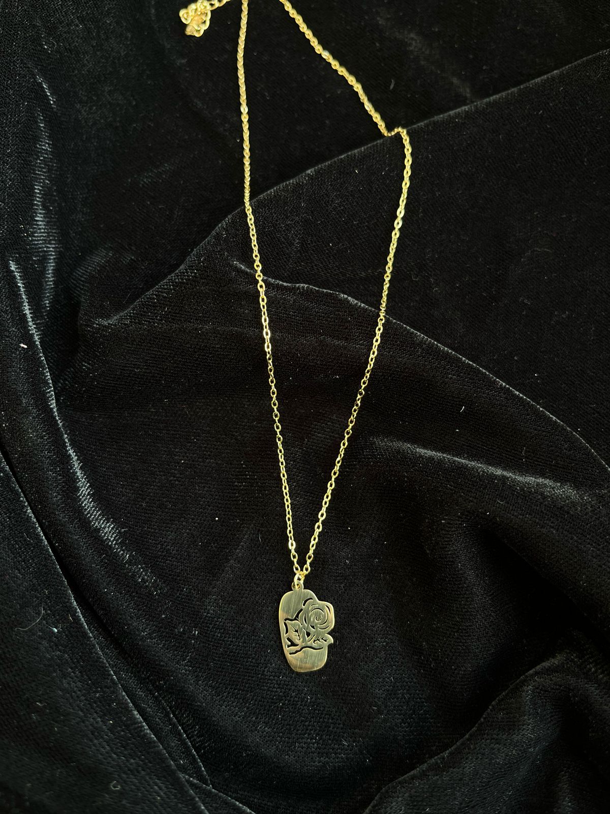 WhatsApp Image 2025-06-07 at 07.18.30